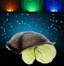 Ночник проектор звездного неба Звездная Черепашка (Star Guide, Twilight Turtle)